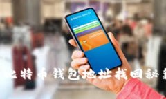专家揭秘：丢失的比特币钱包地址找回秘籍，独