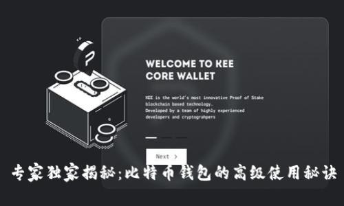 专家独家揭秘:比特币钱包的高级使用秘诀