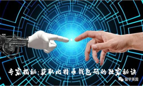 专家揭秘：获取比特币钱包码的独家秘诀