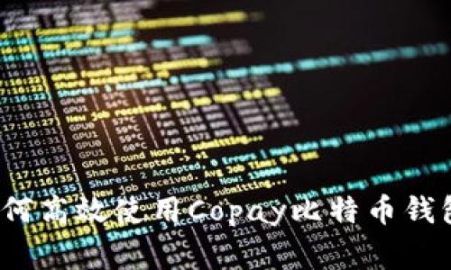 专家揭秘：如何高效使用Copay比特币钱包的独家秘诀