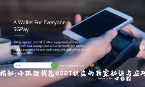 专家揭秘：小狐狸钱包USDT被盗的独家秘诀与应对方案