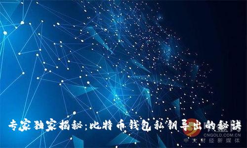专家独家揭秘:比特币钱包私钥导出的秘诀