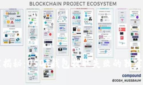 专家揭秘:USDT钱包提取失败的独家秘诀