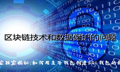 专家独家揭秘:如何用麦子钱包创建SOL钱包的秘诀