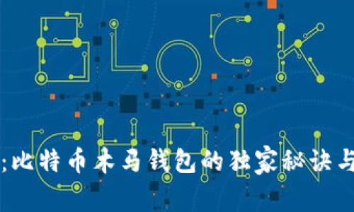 专家揭秘：比特币木马钱包的独家秘诀与防范方法