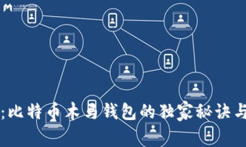 专家揭秘：比特币木马钱包的独家秘诀与防范方法
