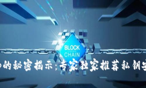 比特币钱包App的秘密揭示:专家独家推荐私钥安全的最佳选择