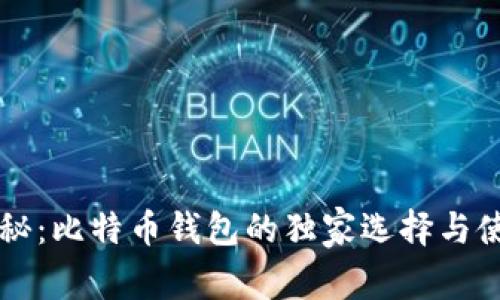 专家揭秘:比特币钱包的独家选择与使用秘诀