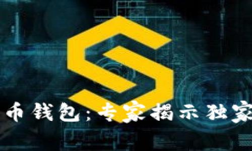 中国第一个比特币钱包：专家揭示独家秘诀与应用前景