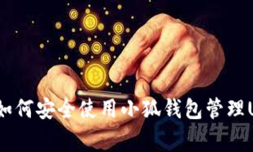 专家独家揭秘：如何安全使用小狐钱包管理USDT资产的秘诀