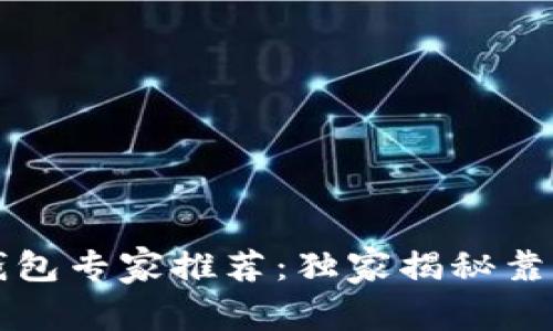 国内比特币钱包专家推荐：独家揭秘靠谱选择的秘诀