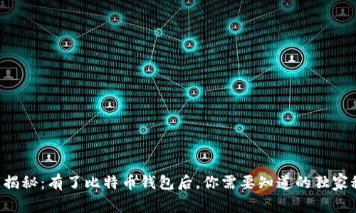 专家揭秘:有了比特币钱包后,你需要知道的独家秘诀!