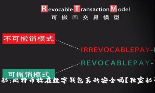 专家揭秘:比特币放在数字钱包真的安全吗?独家秘诀分享!