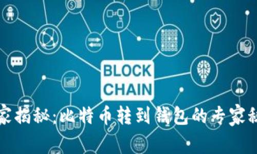 独家揭秘:比特币转到钱包的专家秘诀