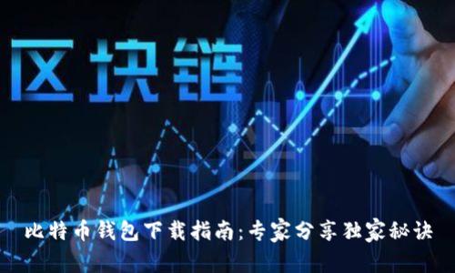 比特币钱包下载指南：专家分享独家秘诀