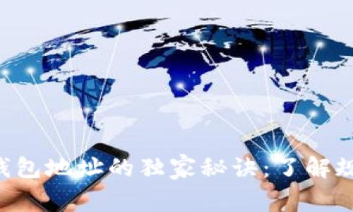 专家教你比特币钱包地址的独家秘诀:了解规则,保护资金安全