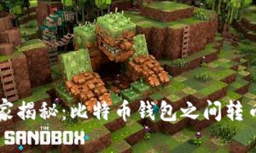 专家独家揭秘：比特币钱包之间转币的秘诀
