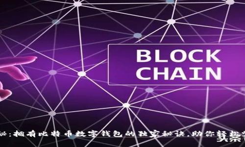 专家揭秘:拥有比特币数字钱包的独家秘诀,助你轻松掌控财富