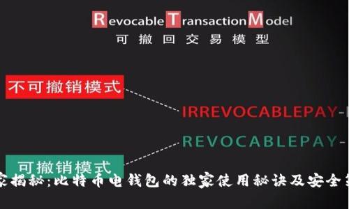 专家揭秘:比特币电钱包的独家使用秘诀及安全策略