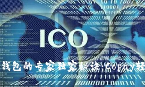 搭建比特币钱包的专家独家秘诀：Copay轻松上手指南