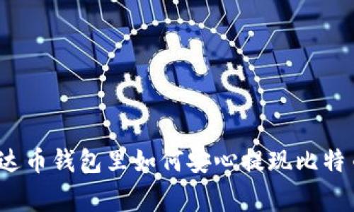 专家揭秘:雷达币钱包里如何安心提现比特币的独家秘诀