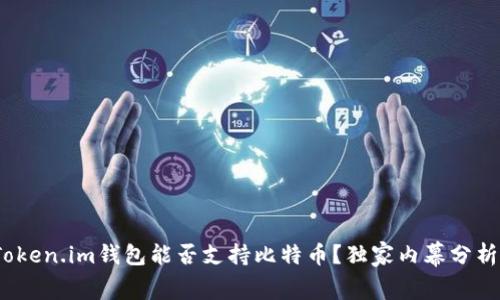 专家揭秘:Token.im钱包能否支持比特币?独家内幕分析与使用秘诀