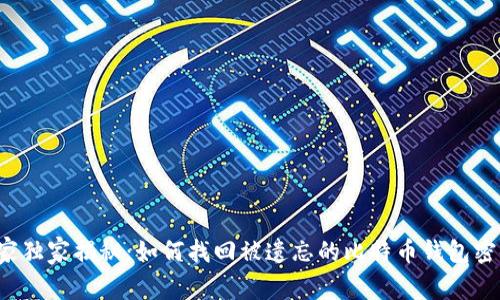 专家独家揭秘:如何找回被遗忘的比特币钱包密码?