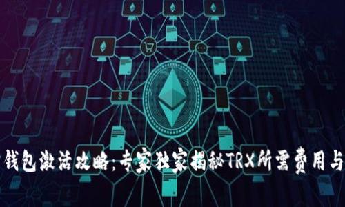 波宝钱包激活攻略:专家独家揭秘TRX所需费用与秘诀