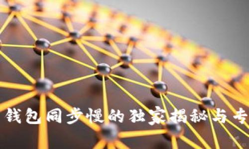 比特币钱包同步慢的独家揭秘与专家秘诀