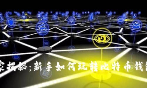 专家独家揭秘：新手如何玩转比特币钱包的秘诀