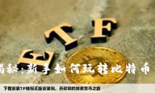 专家独家揭秘：新手如何玩转比特币钱包的秘诀