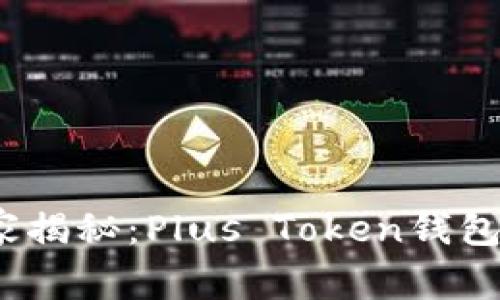 2023年专家独家揭秘：Plus Token钱包排名与使用秘诀