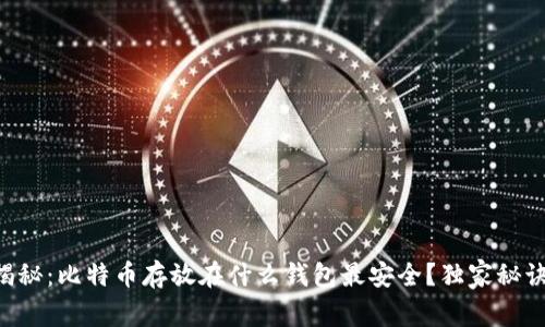 专家揭秘：比特币存放在什么钱包最安全？独家秘诀分享！