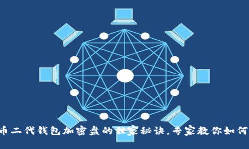 揭秘比特币二代钱包加密盘的独家秘诀，专家教你如何安全存储！