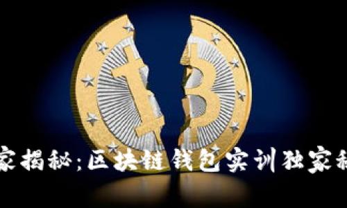 专家揭秘：区块链钱包实训独家秘诀