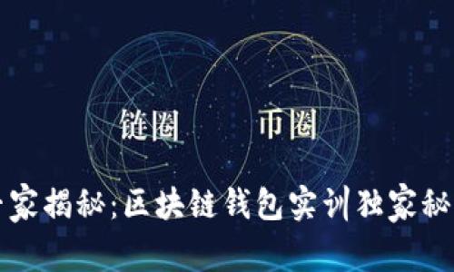 专家揭秘：区块链钱包实训独家秘诀