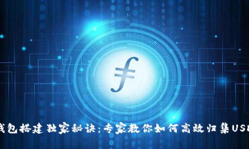 USDT钱包搭建独家秘诀：专家教你如何高效归集USDT资金
