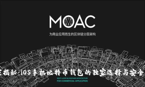 专家揭秘:iOS手机比特币钱包的独家选择与安全秘诀