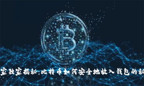 专家独家揭秘：比特币如何安全地放入钱包的秘诀