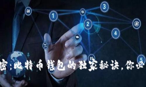 专家解密:比特币钱包的独家秘诀,你必须知道!