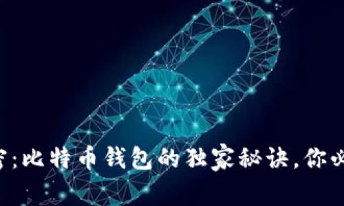专家解密:比特币钱包的独家秘诀,你必须知道!