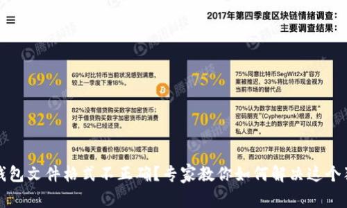 比特币钱包文件格式不正确？专家教你如何解决这个独家秘诀