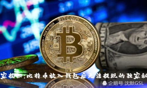 专家揭秘：比特币放入钱包后无法提现的独家秘诀