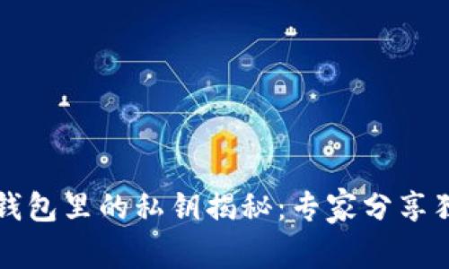 比特币钱包里的私钥揭秘:专家分享独家秘诀