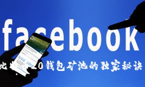 专家揭秘：比特币20钱包矿池的独家秘诀与使用技巧
