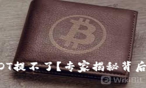 钱包里的USDT提不了？专家揭秘背后的独家秘诀！