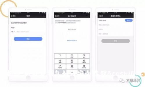 专家独家揭秘:比特币钱包如何安全存储Bcash(BCC)的秘诀