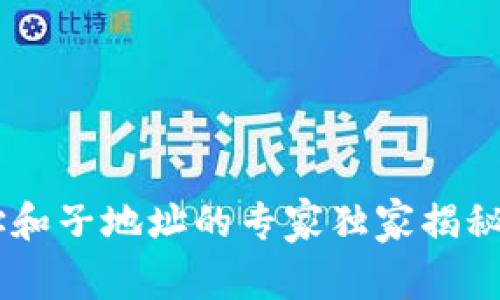 比特币钱包主地址和子地址的专家独家揭秘：你想知道的一切!