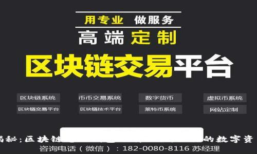 专家独家揭秘:区块链电脑钱包下载秘诀,让你的数字资产安全无忧