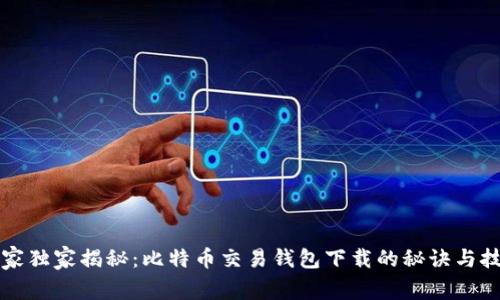 专家独家揭秘：比特币交易钱包下载的秘诀与技巧